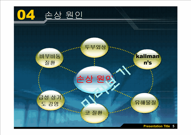 [의학][뇌신경] 후신경[Olfactory Nerve]에 관해   (7 )